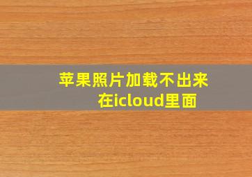 苹果照片加载不出来 在icloud里面